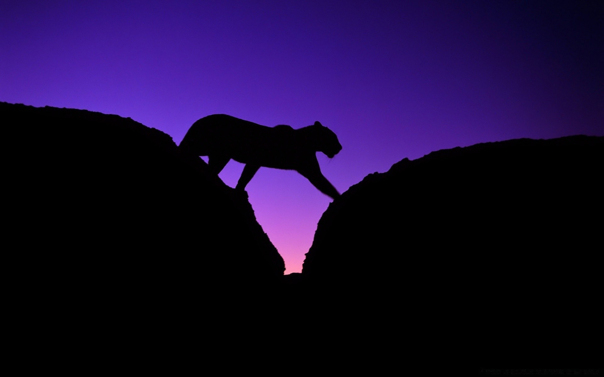 animaux silhouette rétro-éclairé coucher de soleil ciel paysage grimpeur crépuscule ombre montagnes lumière soir rock homme aube un à l extérieur grimper