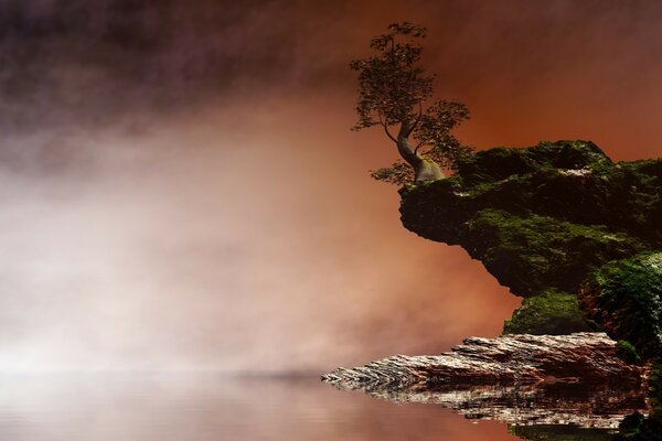 Rocher avec un arbre solitaire sur elle