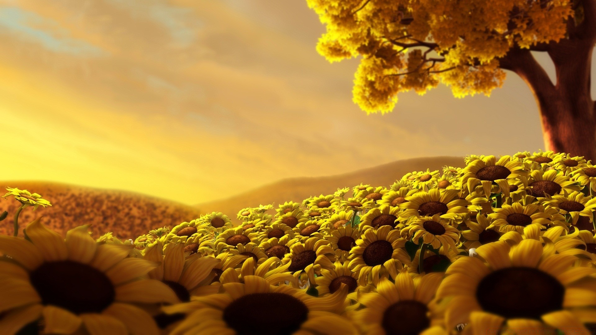 3d graphics nature flora flower summer outdoors sun color beautiful desktop dawn season fair weather sunflower