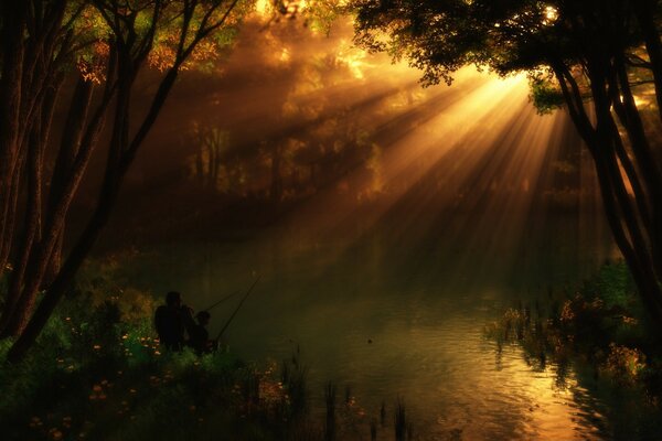 Sunlight through the foliage of trees