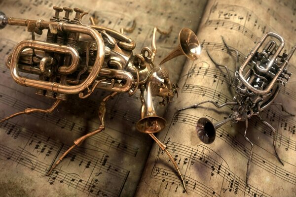 Insecto de instrumentos musicales