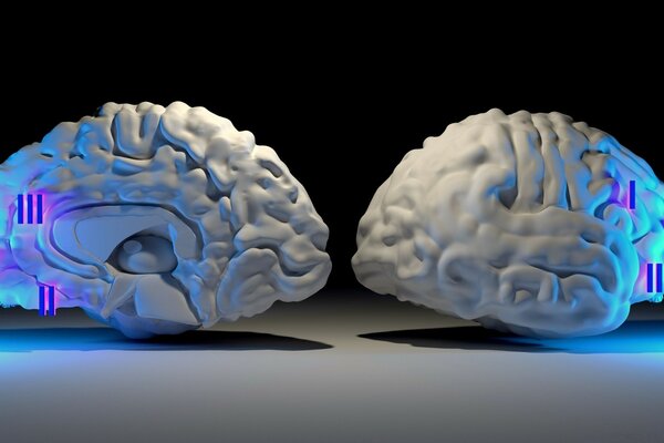 Comparaison de deux lobes du cerveau dans un graphique 3D