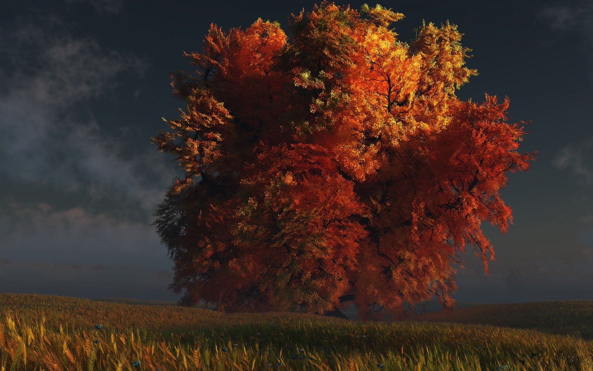 3d graphics fall tree landscape leaf outdoors nature wood dawn fog fair weather countryside sun scenic daylight mist