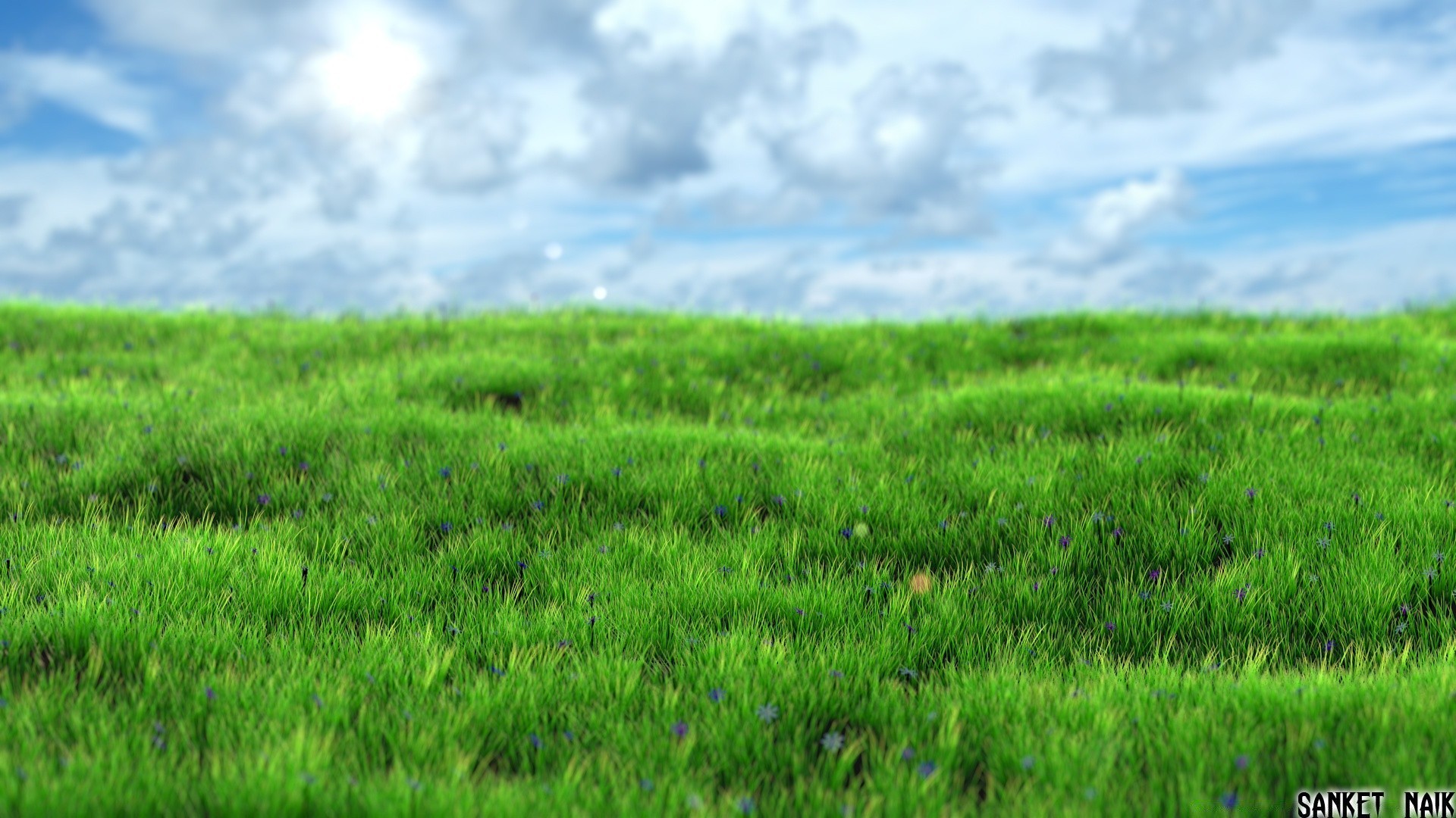 gráficos 3d hierba exuberante crecimiento rural verano naturaleza campo pasto heno suelo hoja flora césped campo al aire libre tierras de cultivo buen tiempo pastizales