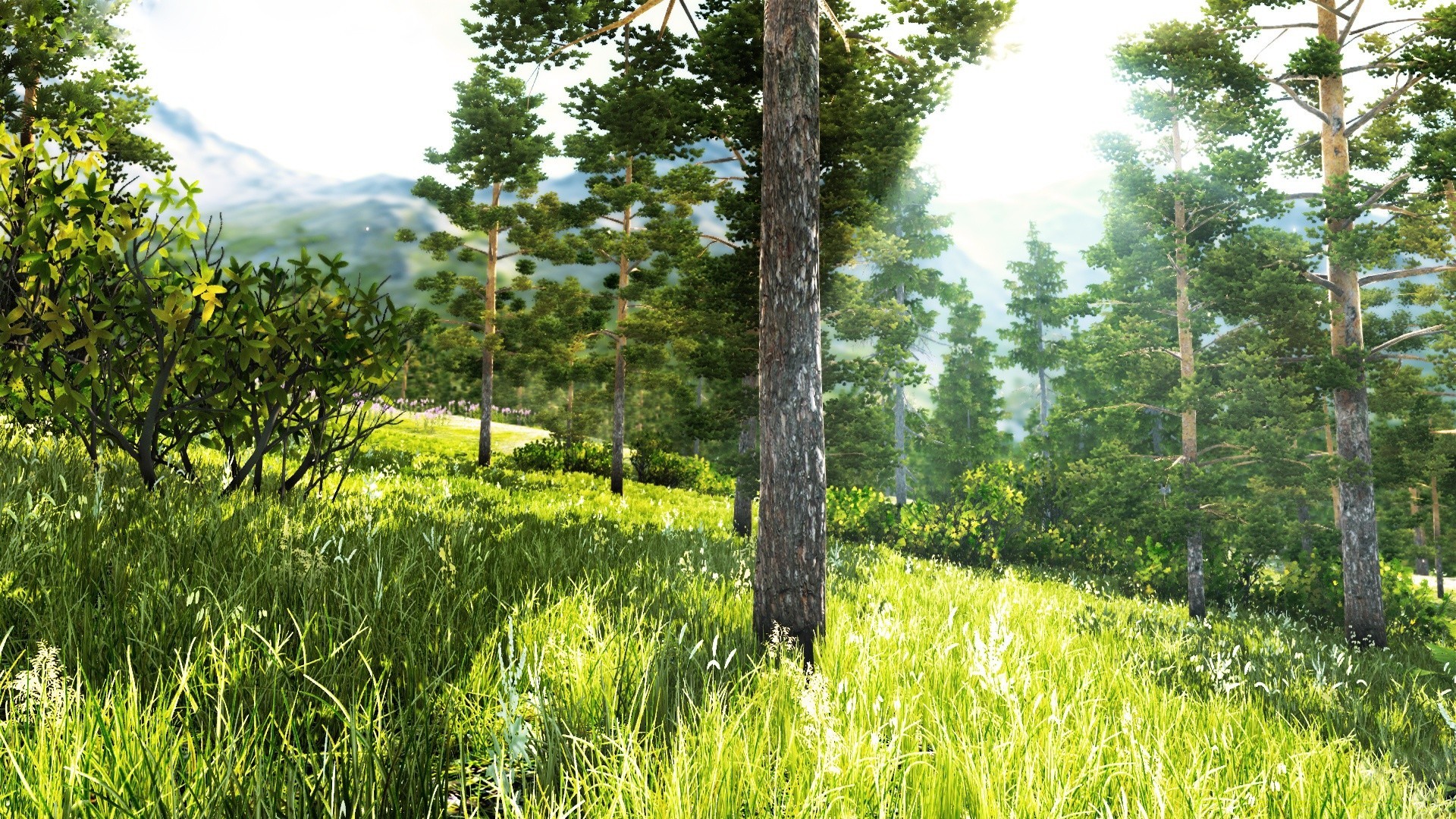 gráficos 3d paisagem natureza madeira verão árvore grama ao ar livre ambiente flora crescimento bom tempo cênica feno campo rural sol cena temporada parque