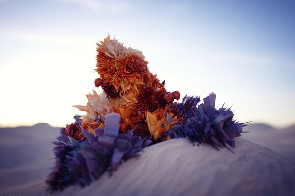 Colorful composition on a sand dune