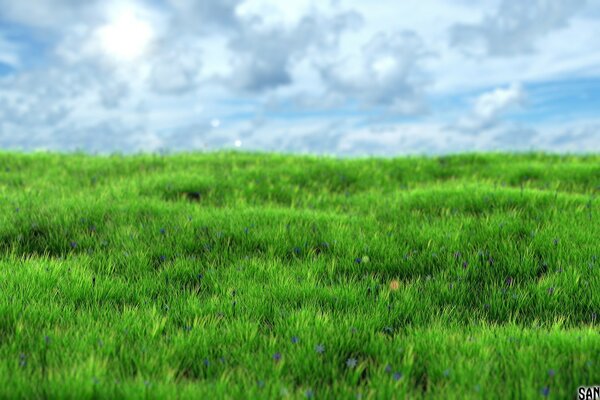 Exuberante hierba verde y cielo nublado azul