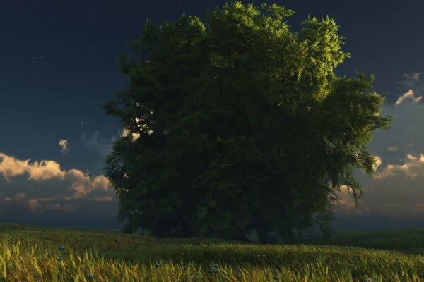 A lonely tree in the middle of a green meadow against a blue sky