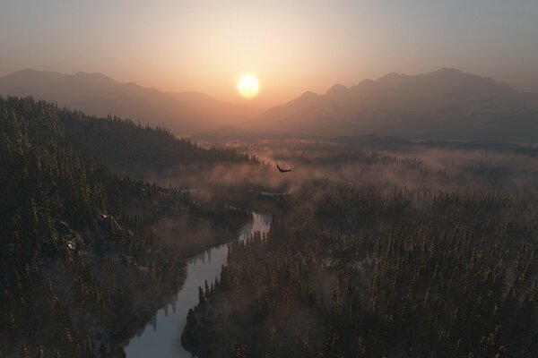 Dawn over the forest and mountains