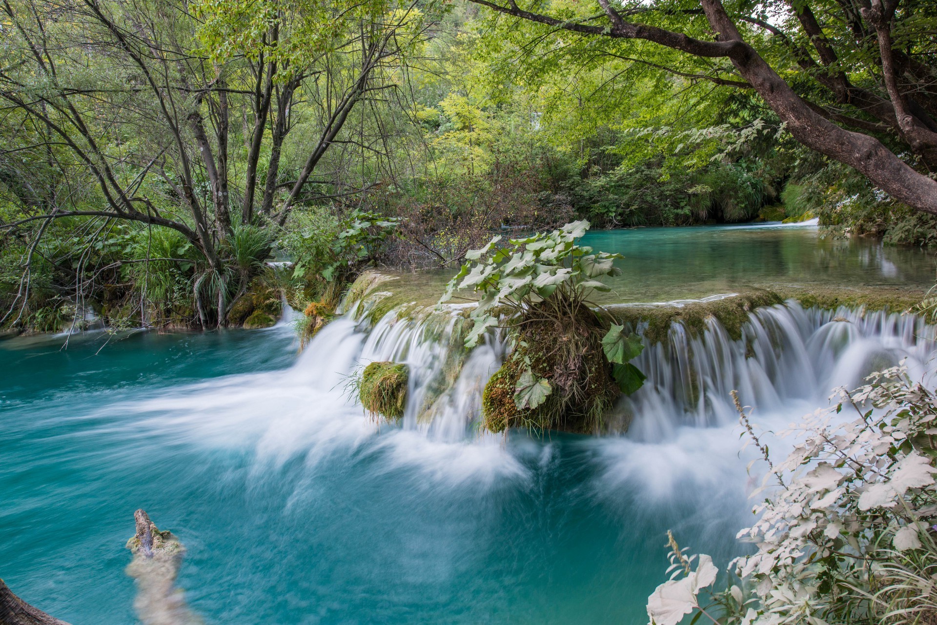 waterfalls water waterfall nature wood travel river tree landscape outdoors leaf stream cascade summer tropical park