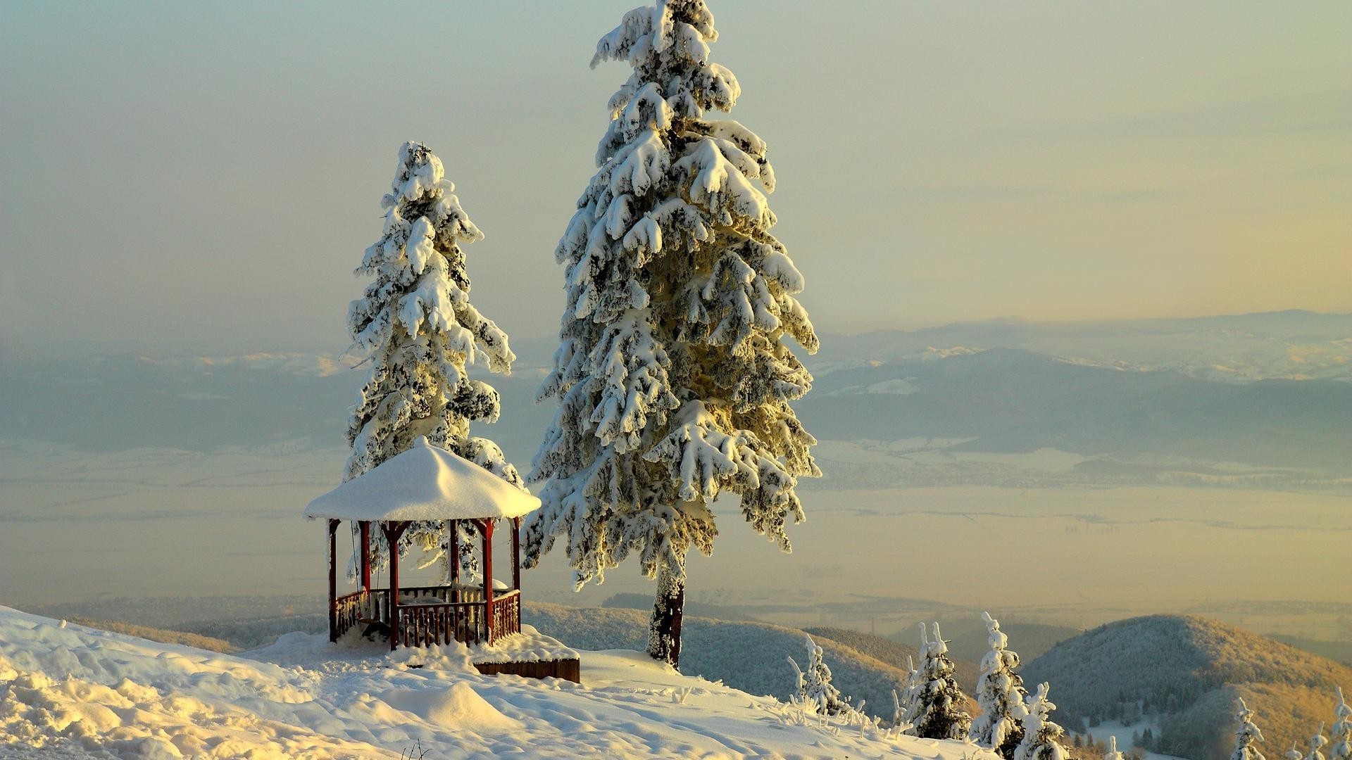 hiver neige gel froid glace ciel congelé à l extérieur montagnes voyage paysage bois nature bois