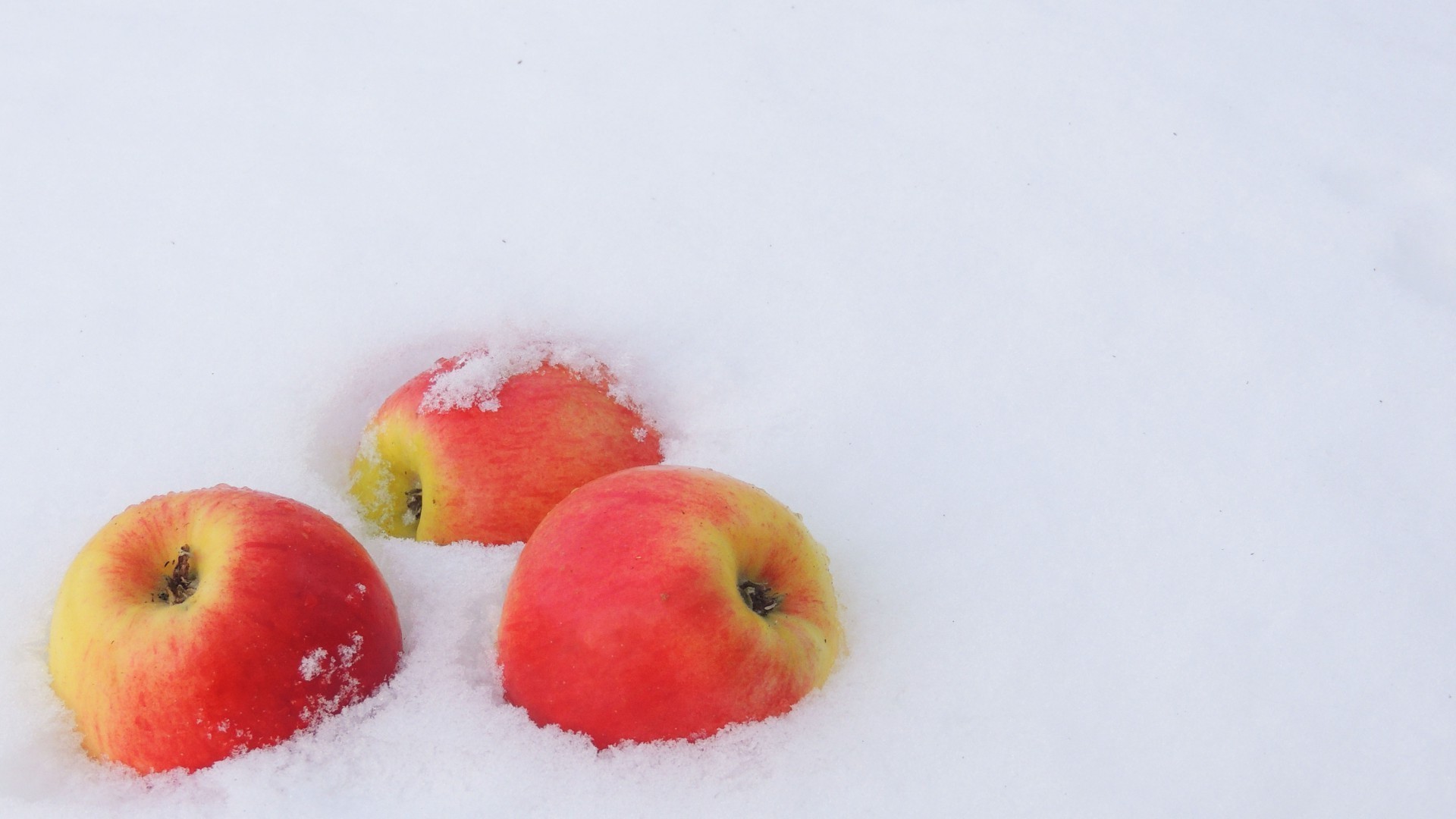 bayas fruta comida manzana crecer naturaleza salud delicioso jugoso frío naturaleza muerta nutrición verano dulce brillante