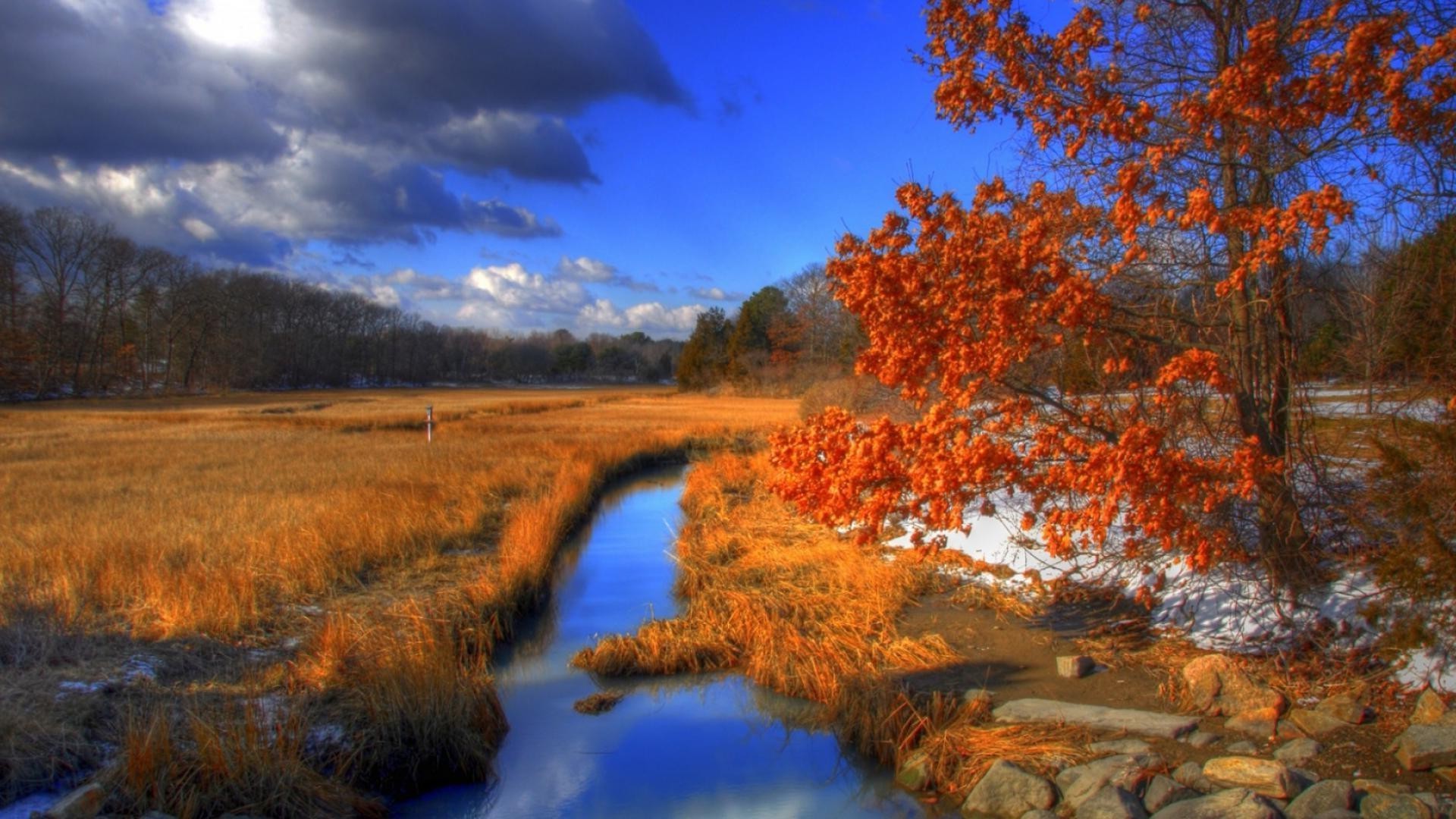 rivers ponds and streams fall landscape tree wood nature outdoors water dawn river evening reflection leaf lake scenic sunset sky