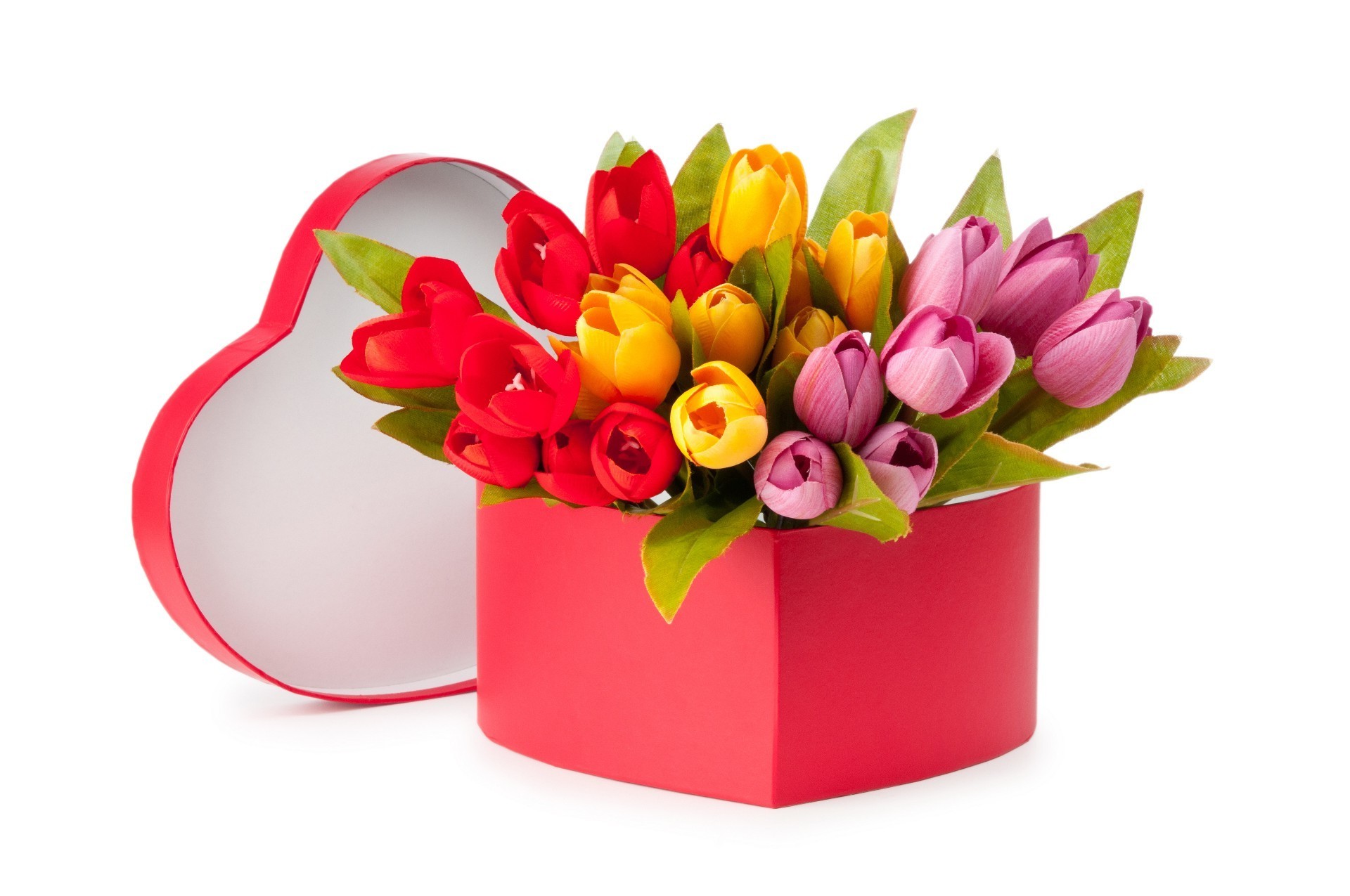 tulipani regalo fiore compleanno bouquet decorazione foglia flora natura isolato pasqua colore floreale vacanza desktop amore luminoso stagione bella