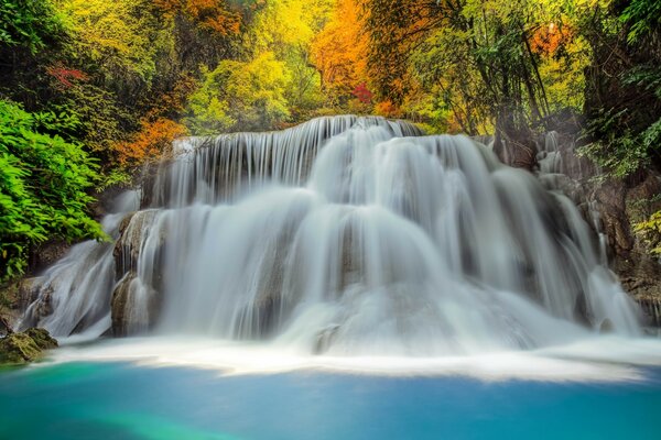 Ein riesiger Wasserfall in gelben Blättern