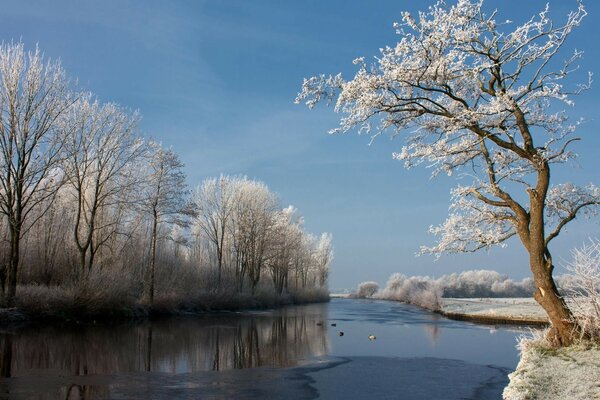 Winterlandschaft. Schneeweißer Schnee. Fluß