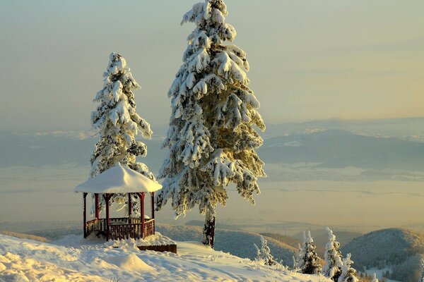 Морозный пейзаж навевает ледяную атмосферу зимы