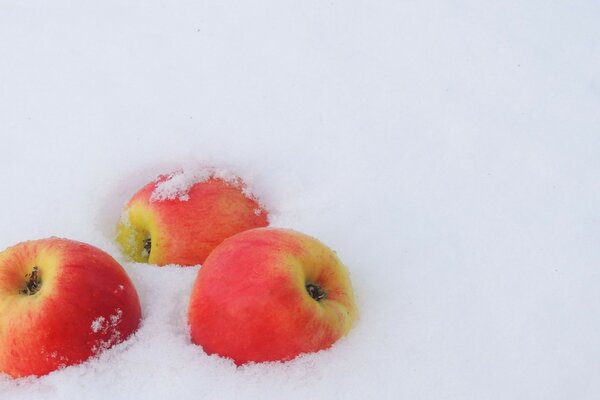 APPLES ON SNOW, PINK ON WHITE