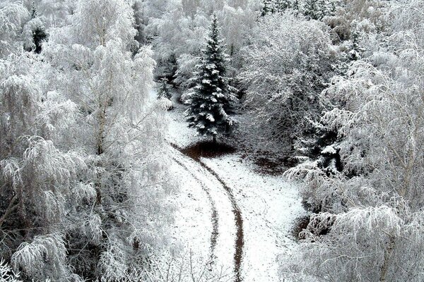 Route enneigée sur fond de paysage d hiver