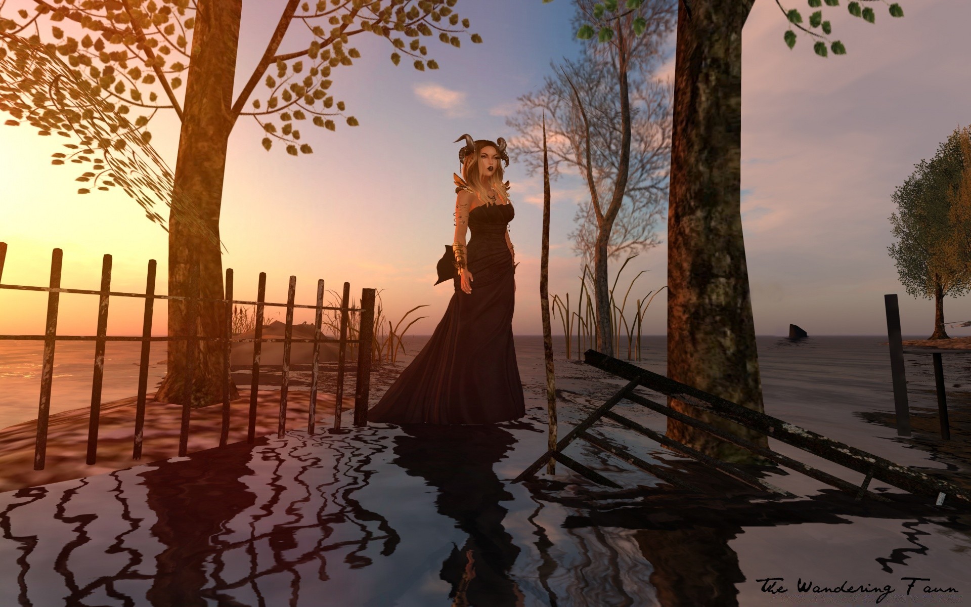 3d graphics sunset dawn water nature sun tree sky landscape outdoors evening travel dusk reflection wood beach fair weather light lake fall silhouette