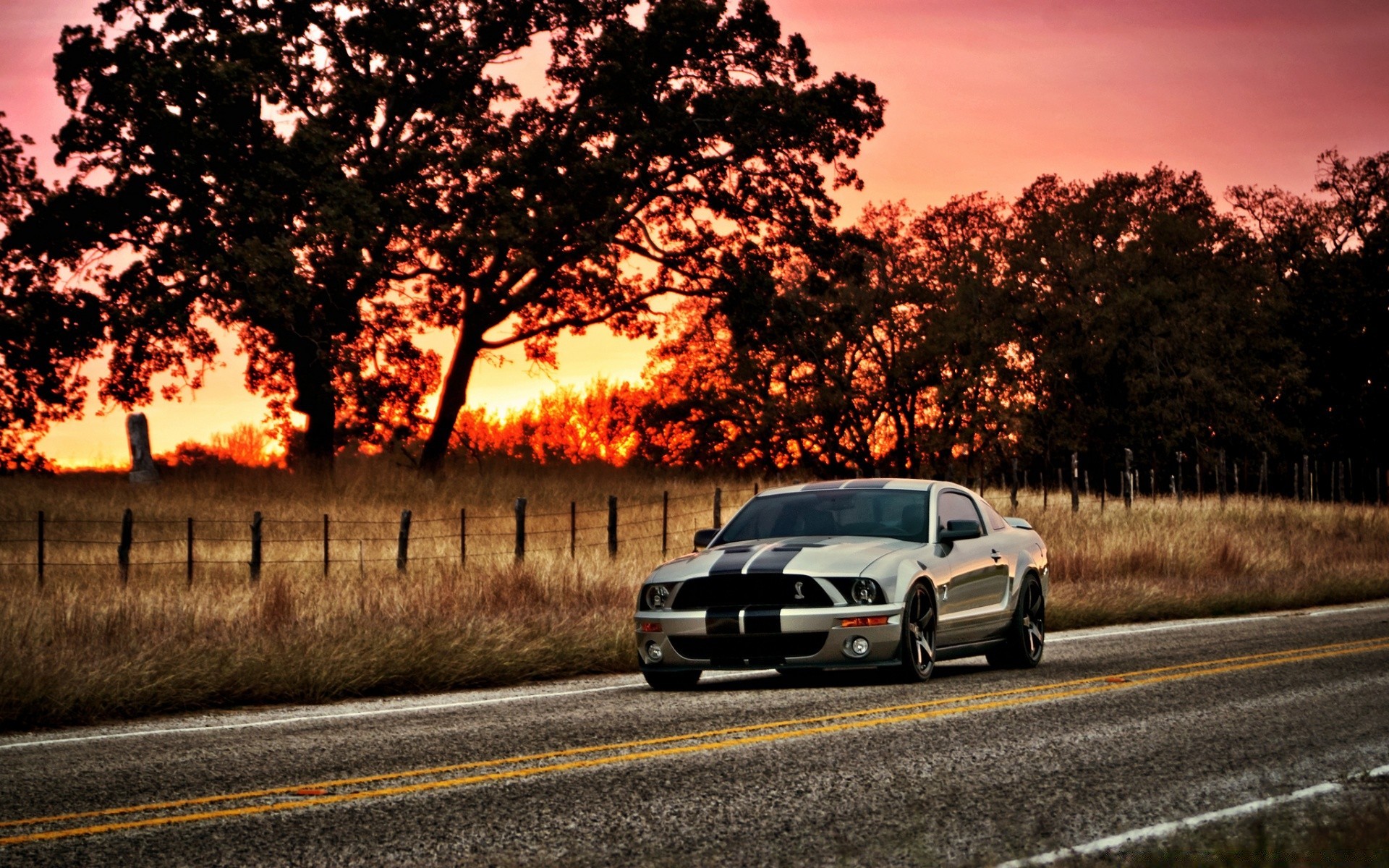 autres appareils route bois voiture paysage lumière rue système de transport manuel voiture coucher de soleil aube asphalte