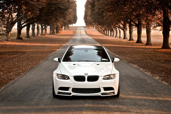 Un BMW blanco conduce por la carretera. A los lados de los árboles