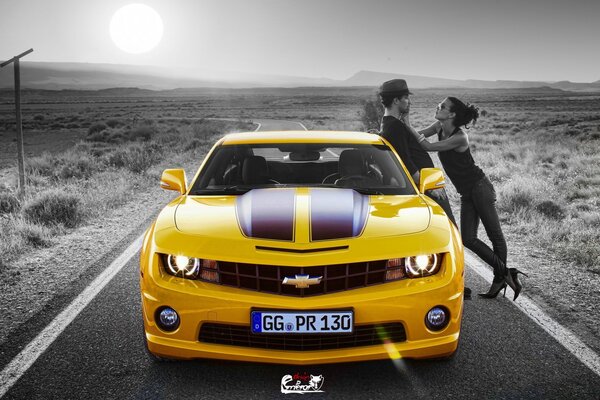 Chevrolet amarelo Com Capuz Animal