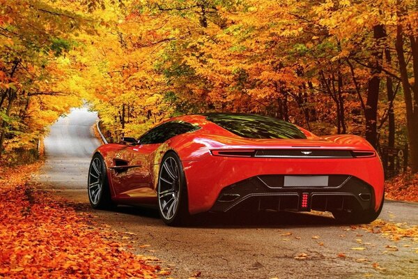 Rotes Auto im Herbstwald