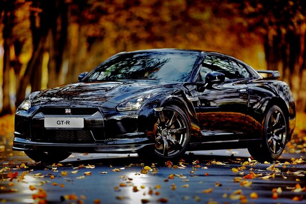 A car on the background of an autumn landscape for the desktop