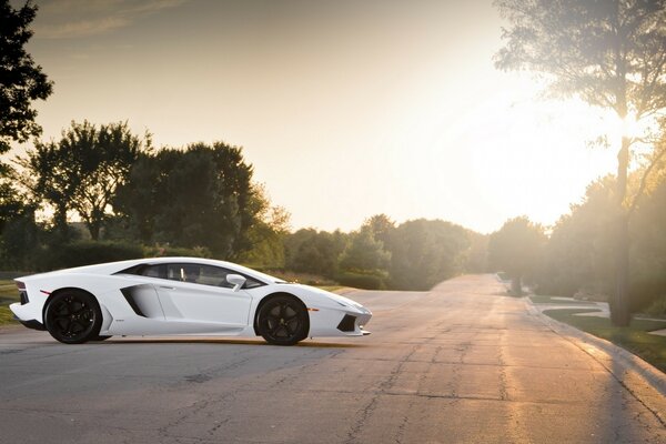 Car on the road in the evening