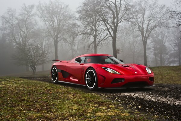 Coche rojo en el fondo del bosque