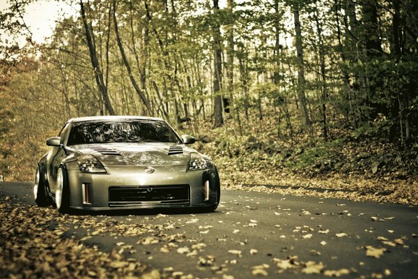 Racing car in the autumn forest