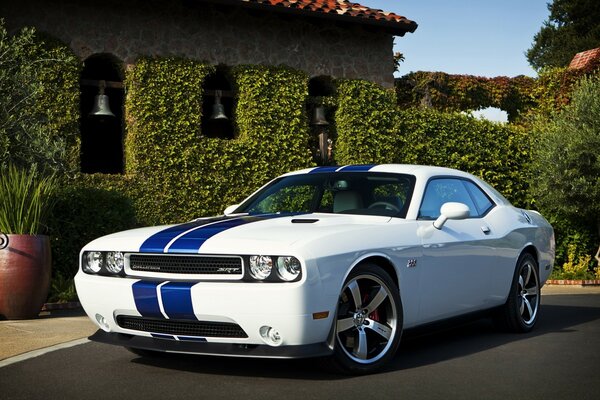 Sport Ford Mustang en face de la nature