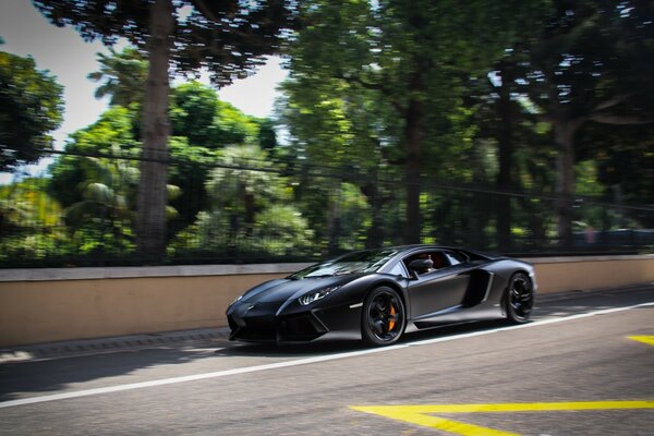 A black sports car rides along the fence