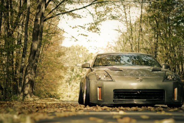 A laconic car on a parking lot in the forest