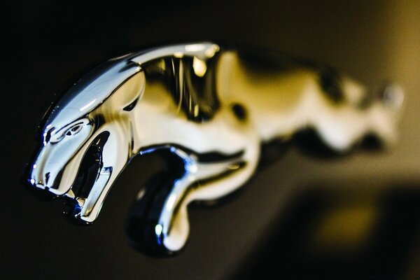 Blurry photo of the Jaguar car emblem