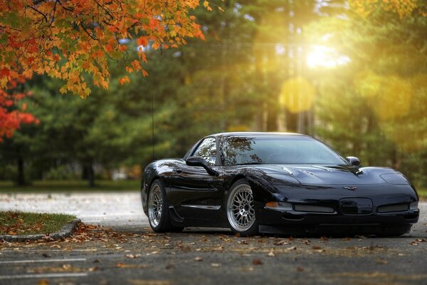 Black car on the background of autumn trees