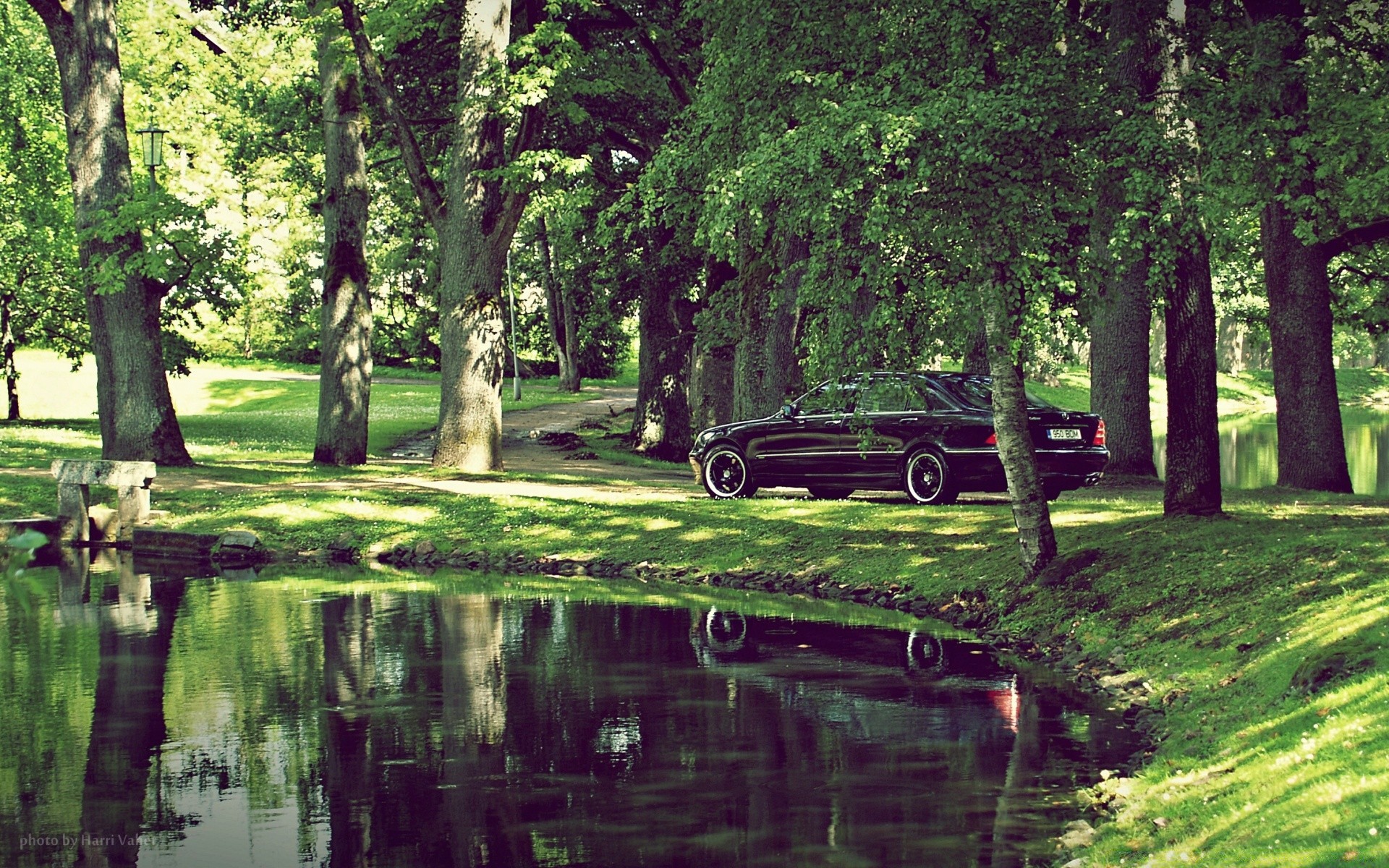 cars nature wood tree park water landscape summer grass reflection leaf outdoors season river pool flora lake beautiful scenic scenery