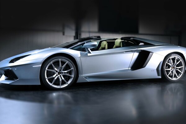 Grey sports car on a grey background