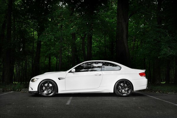 White car on the background of a green forest