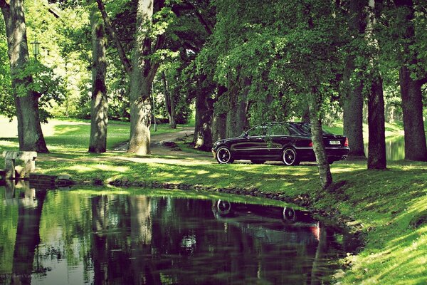 Schwarzes Auto im Wald am Seeufer