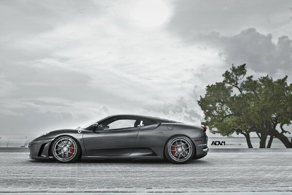 Grey Ferrari on the street by a tree