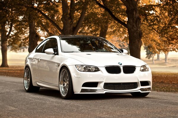 Carro na estrada da floresta BMW branco