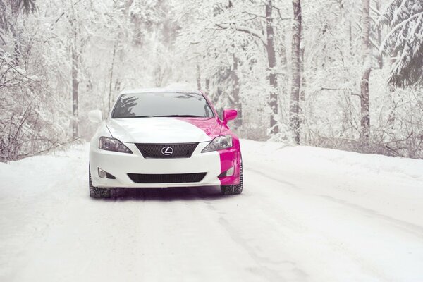 Winter princess in the snow