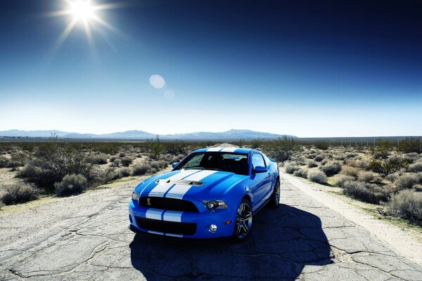 A sports car. Bright blue with white stripes