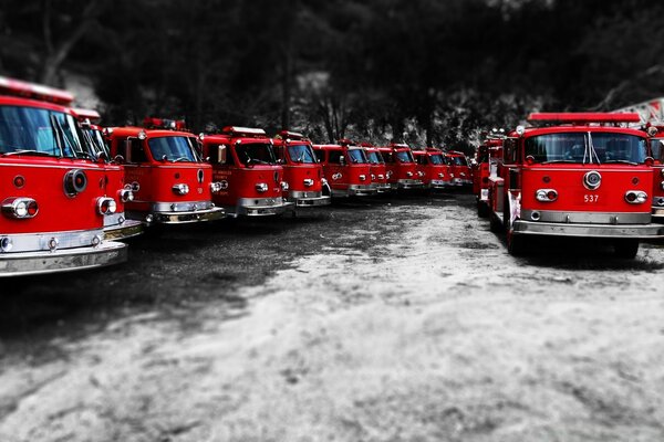 Fire Trucks - Red Black White