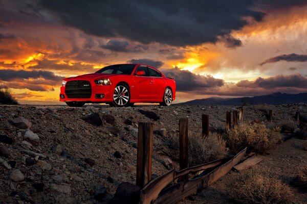 Roter Mustang auf Sonnenuntergang Hintergrund