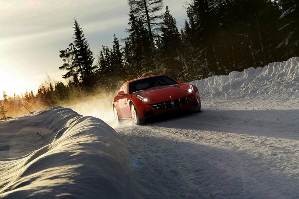 Winter road. Winter Forest