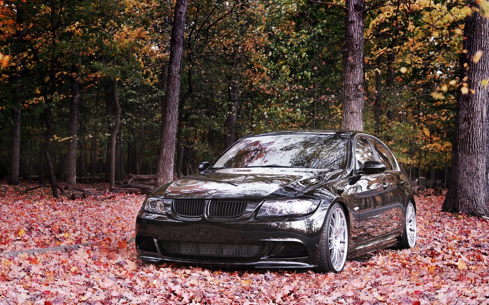 altri macchinari auto auto autunno legno ruote strada disco