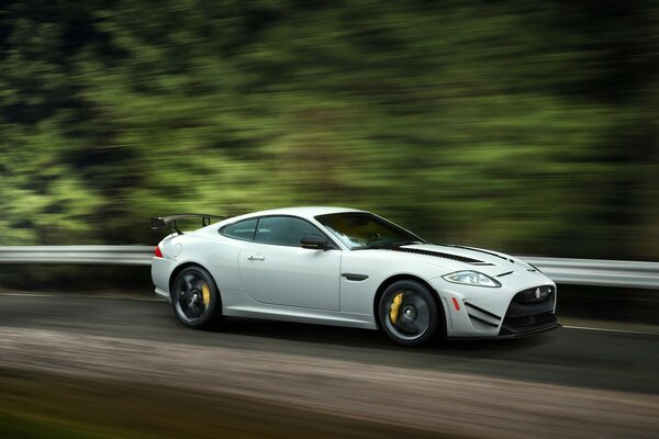 Voiture blanche Jaguar avec spoiler